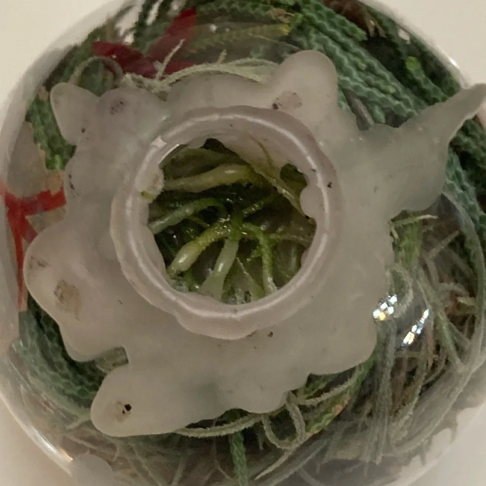 House Blessings, Prosperity, Protection Witch Ball set - Picture 11 of 14